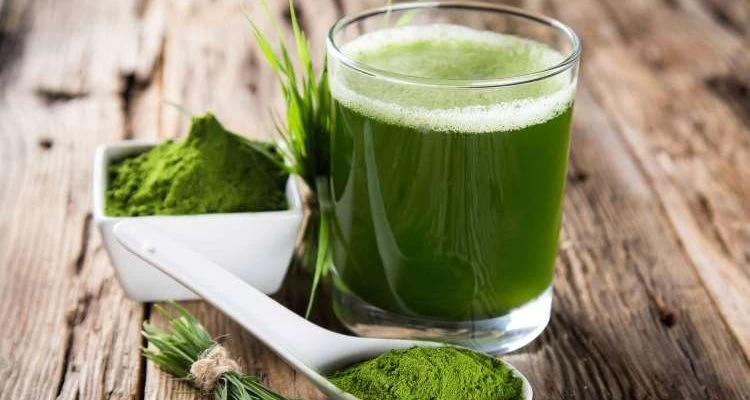 Σπιρουλίνα: Πόσο μας ωφελεί και τι παρενέργειες έχει – Η ιδανική δοσολογία – Βίντεο